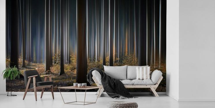 Mystic Wood Forest Wallpaper