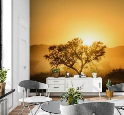 Gold Sunrise mot tre tapet