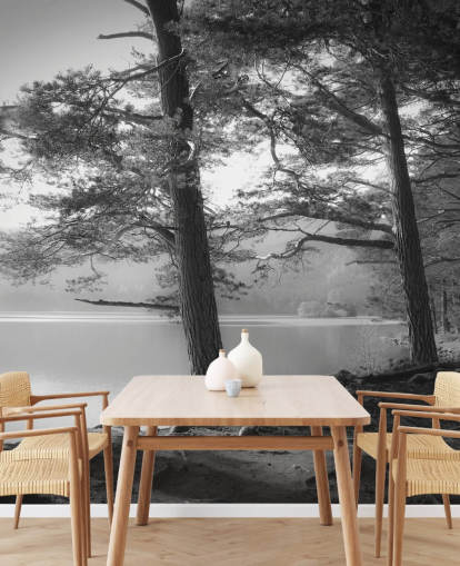 Svart-hvitt innsjø og skog Wallpape Svart-hvitt innsjø og skog Wallpape