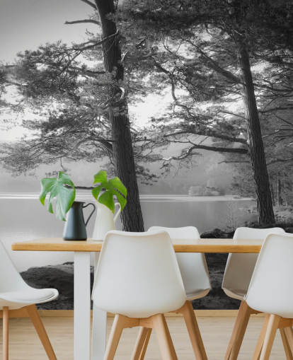 Black and White Lake and Forest Wallpape Black and White Lake and Forest Wallpape