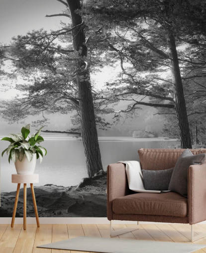 Svarta och vita sjön och skogen tapet Svarta och vita sjön och skogen tapet