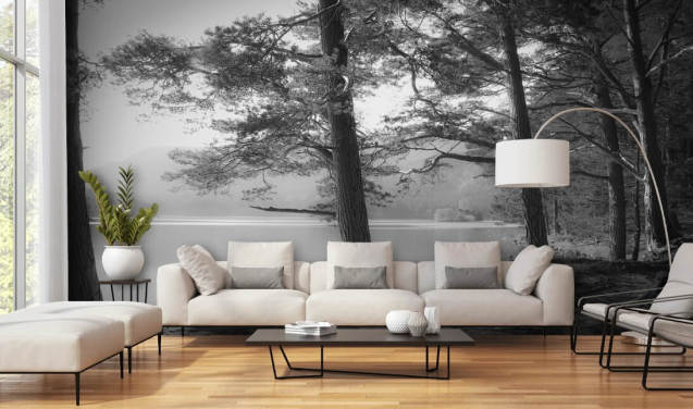 Forest Wallpaper & Tree Wall Murals | Wallsauce UK