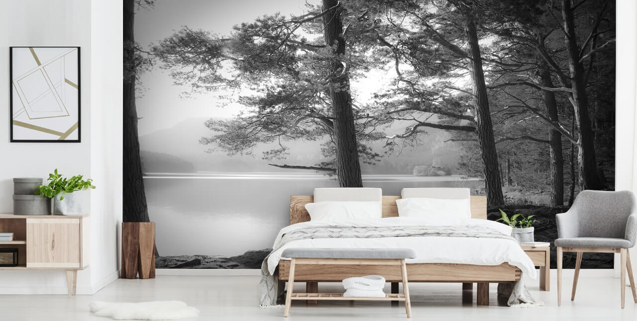 Fondo de pantalla de lago y bosque en blanco y negro