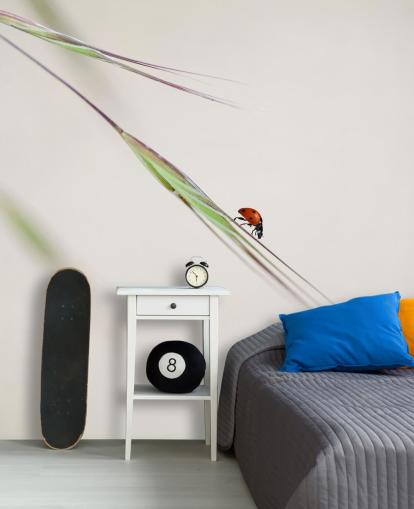 Ladybug/Ladybird Insect Wallpaper Ladybug/Ladybird Insect Wallpaper