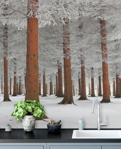 In White Wall Mural Wallpaper In White Wall Mural Wallpaper