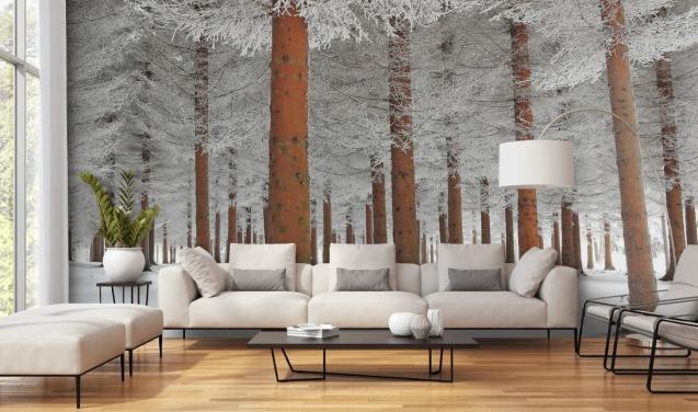 Forest and Tree Wallpaper | Wallsauce US