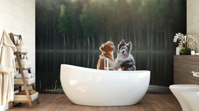 twee honden zaten bij een meer met armen om elkaar heen muurschildering