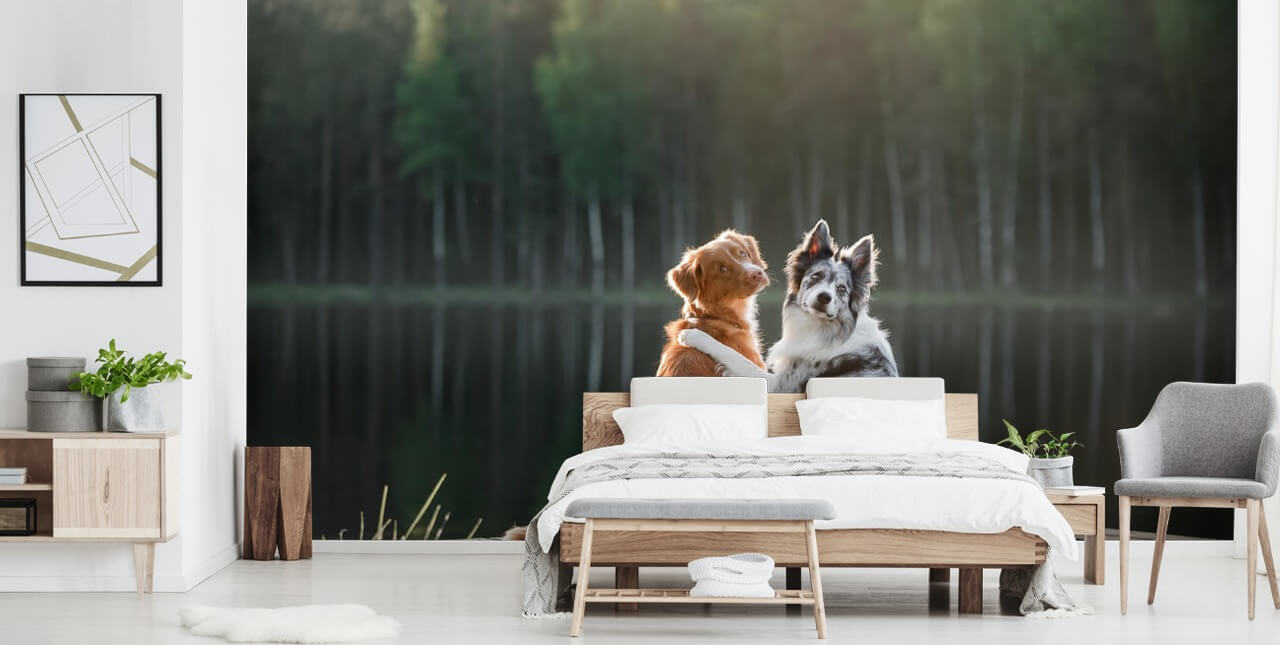 twee honden zaten bij een meer met armen om elkaar heen muurschildering