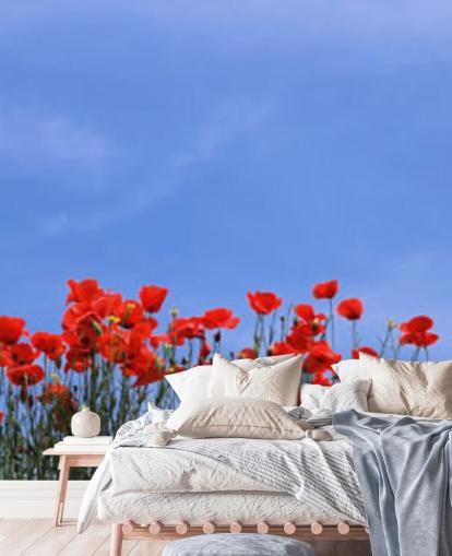 red poppies in a field wallpaper red poppies in a field wallpaper