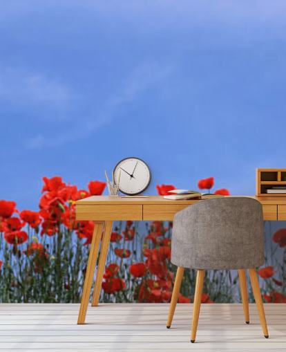 red poppies in a field wallpaper red poppies in a field wallpaper