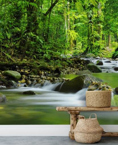 green stream wallpaper mural called Beautiful Mountain Stream at Wallsauce for bedrooms, bathrooms and offices green stream wallpaper mural called Beautiful Mountain Stream at Wallsauce for bedrooms, bathrooms and offices