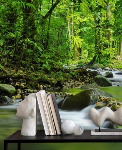 papier peint mural Green Stream appelé Beautiful Mountain Stream à Wallsauce pour les chambres, les salles de bain et les bureaux papier peint mural Green Stream appelé Beautiful Mountain Stream à Wallsauce pour les chambres, les salles de bain et les bureaux