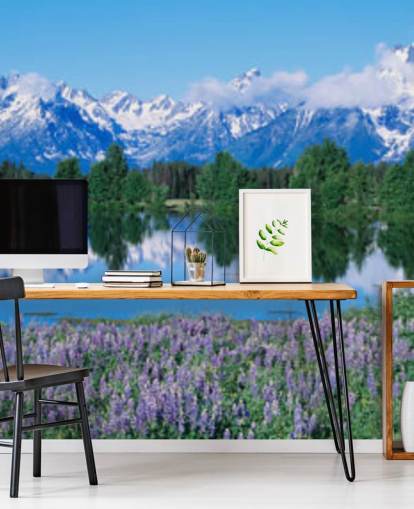 Parque Nacional de Wyoming com montanhas azuis e céu com flores roxas papel de parede Parque Nacional de Wyoming com montanhas azuis e céu com flores roxas papel de parede