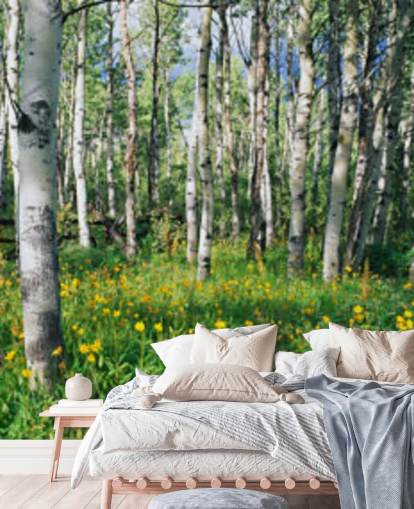 white birch tree woodland with wild yellow flowers wallpaper white birch tree woodland with wild yellow flowers wallpaper