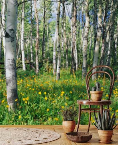 white birch tree woodland with wild yellow flowers wallpaper white birch tree woodland with wild yellow flowers wallpaper
