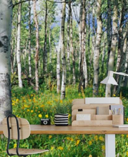 carta da parati bianca con bosco di betulle con fiori gialli selvatici carta da parati bianca con bosco di betulle con fiori gialli selvatici