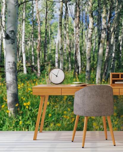 white birch tree woodland with wild yellow flowers wallpaper white birch tree woodland with wild yellow flowers wallpaper