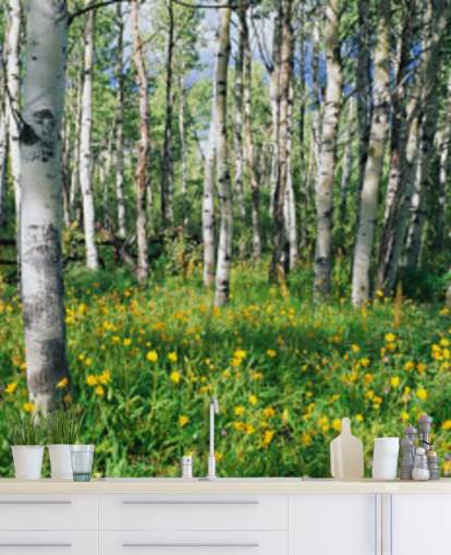 white birch tree woodland with wild yellow flowers wallpaper white birch tree woodland with wild yellow flowers wallpaper