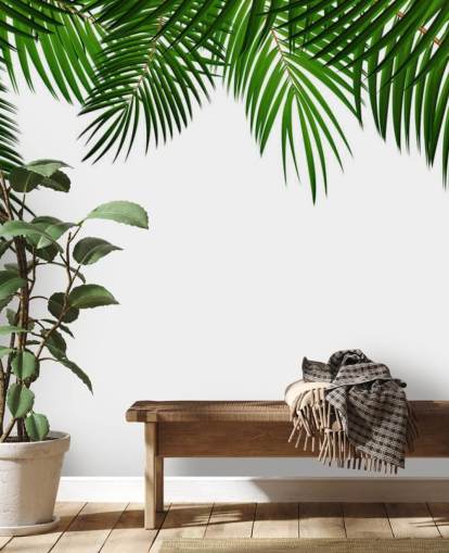 palm leaves at the top of a white background wall mural palm leaves at the top of a white background wall mural