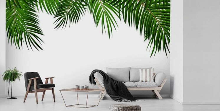 palm leaves at the top of a white background wall mural