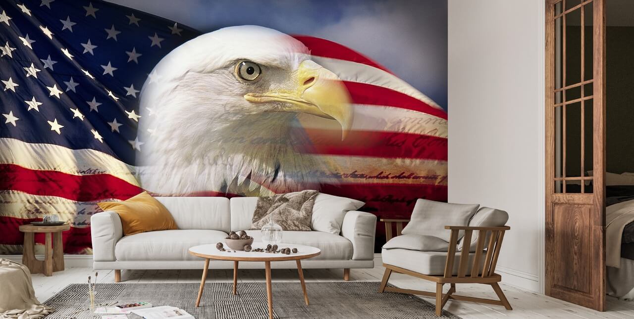 USA Eagle Wallpaper | Wallsauce US