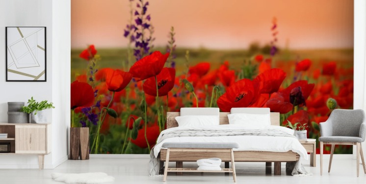 Klaprozen en paarse bloemenbehang