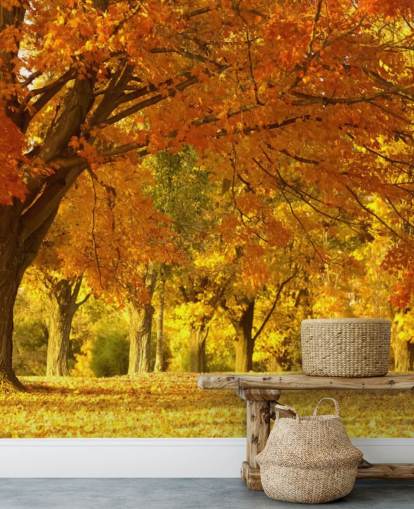 Oranje herfst scène behang Oranje herfst scène behang