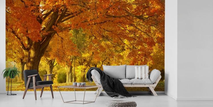 Orange Autumn Scene Wallpaper