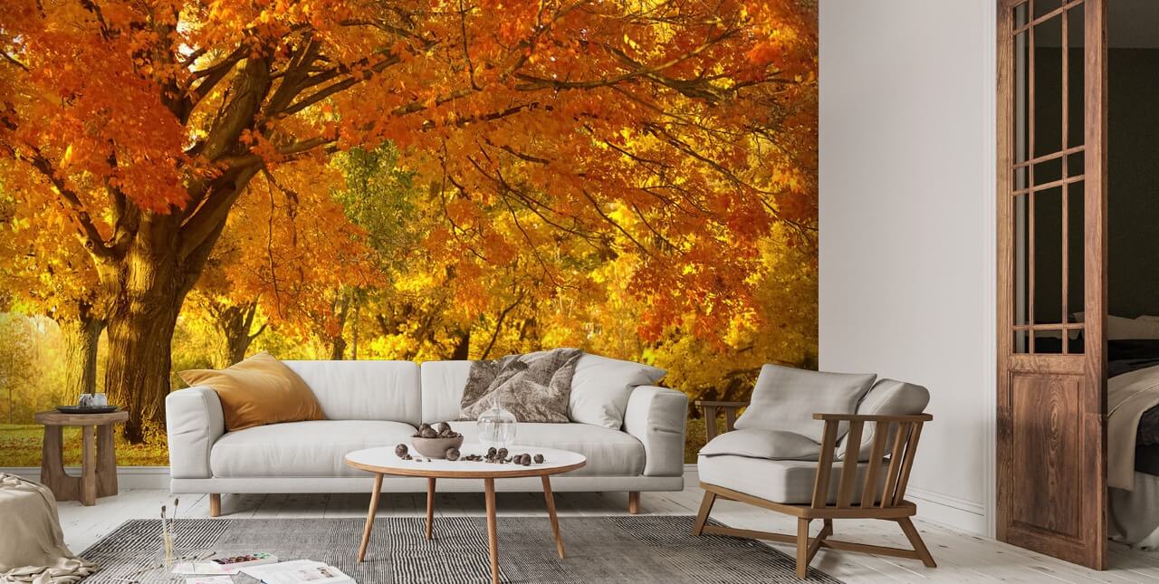 Orange Autumn Scene Wallpaper | Wallsauce UK