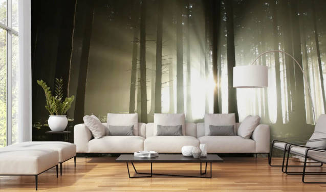 Forest Wallpaper & Tree Wall Murals | Wallsauce US