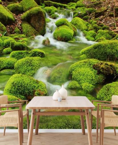 Mountain Stream, Mossy Stones Mountain Stream, Mossy Stones Mountain Stream, Mossy Stones Mountain Stream, Mossy Stones