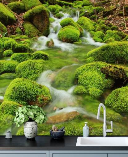 Mossy Bakgrunn Nærbilde Veggmaleri Mossy Bakgrunn Nærbilde Veggmaleri