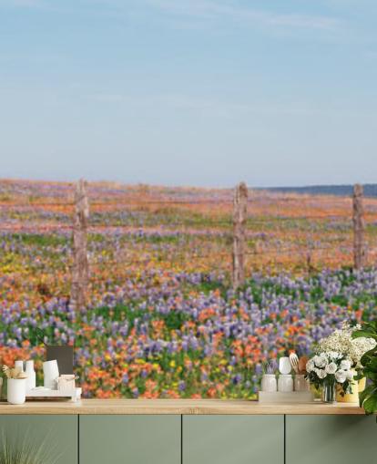 meadow field with orange, purple and yellow flowers wallpaper meadow field with orange, purple and yellow flowers wallpaper