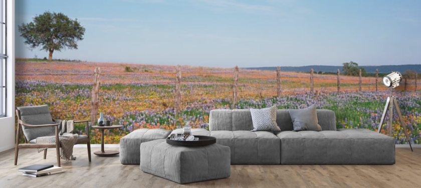 Texas Field Nature Wallpaper