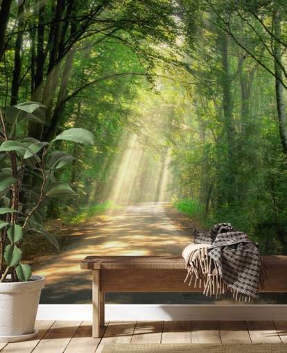 solbelyst skogsväg tapet solbelyst skogsväg tapet