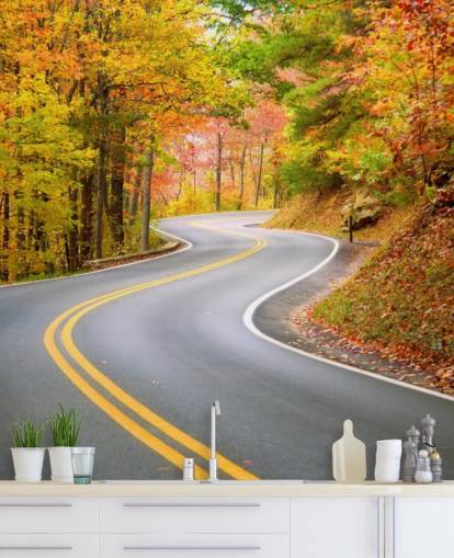 Straße läuft durch den Herbst Tapete Straße läuft durch den Herbst Tapete