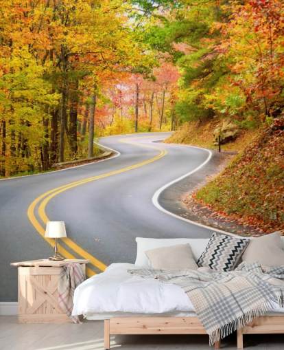 Road Running Through Autumn Wallpaper Road Running Through Autumn Wallpaper