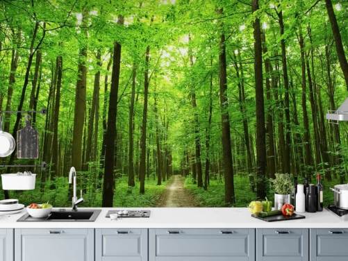 groene aanpasbare bosbehangmuurschildering genaamd Green Forest voor kantoren, slaapkamers en bedrijven