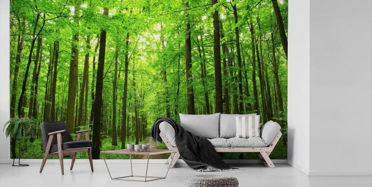 groene aanpasbare bosbehangmuurschildering genaamd Green Forest voor kantoren, slaapkamers en bedrijven