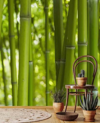 Nära upp av bambu i bambu skog tapeter Nära upp av bambu i bambu skog tapeter