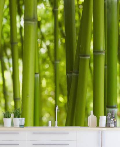 Lähikuva Bambu Bamboo Forest Taustakuva Lähikuva Bambu Bamboo Forest Taustakuva