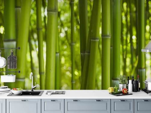 Close Up of Bamboo in Bamboo Forest Wallpaper
