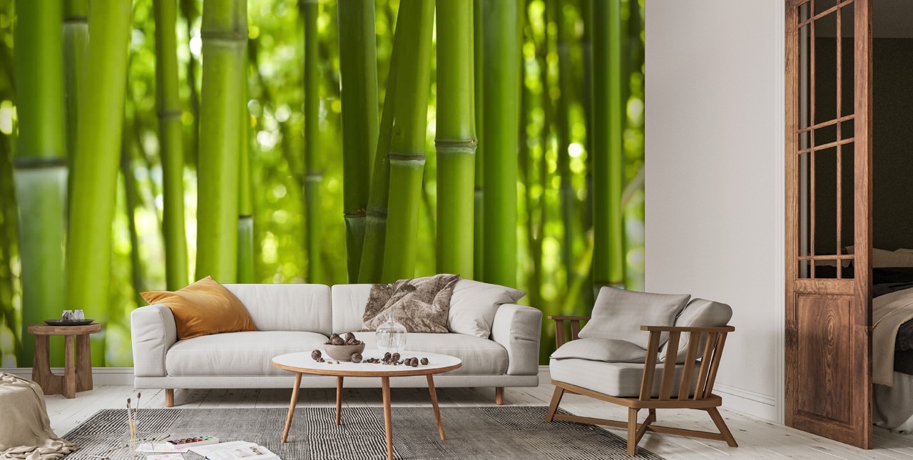 Bamboo Trees Wallpaper | Wallsauce US