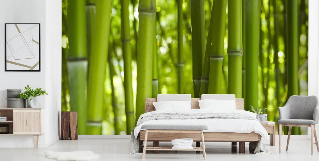 Close Up of Bamboo in Bamboo Forest Wallpaper Close Up of Bamboo in Bamboo Forest Wallpaper