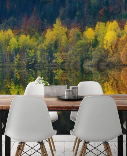 orange autumnal trees by a lake reflecting their image wallpaper orange autumnal trees by a lake reflecting their image wallpaper