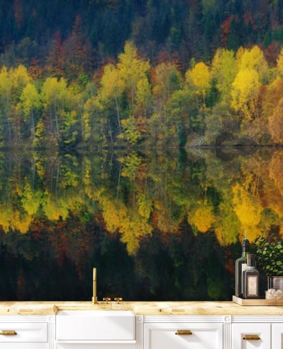 oransje høsttrær ved en innsjø som reflekterer deres bilde tapet oransje høsttrær ved en innsjø som reflekterer deres bilde tapet