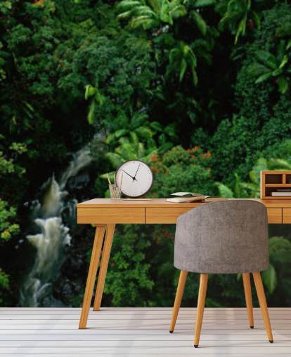 Himmel Ansicht von Hawaii Regenwald wallpaperF Himmel Ansicht von Hawaii Regenwald wallpaperF