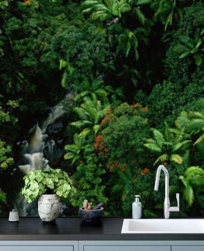 himmel udsigt over Hawaii regnskov tapetF himmel udsigt over Hawaii regnskov tapetF