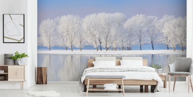 Winter Frost Winter Wallpaper