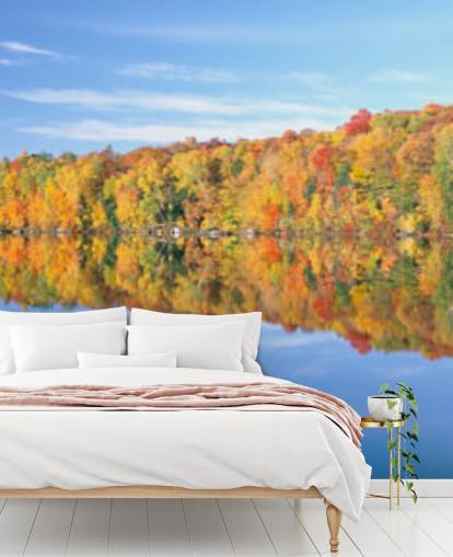 orange und gelbe Bäume von See Tapete orange und gelbe Bäume von See Tapete